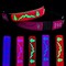 Flashing USB-C LED Light-up Dog Collar-TRE-Pink-Size M(15.7-19.7")